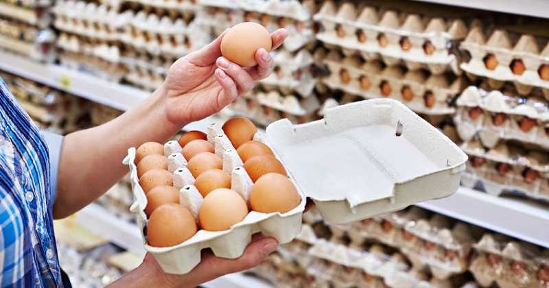 Colombianos Consumen en Promedio 252 Huevos y 30 Kg de Pollo al Año
