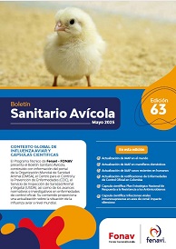 imagen galeria