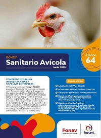 imagen galeria