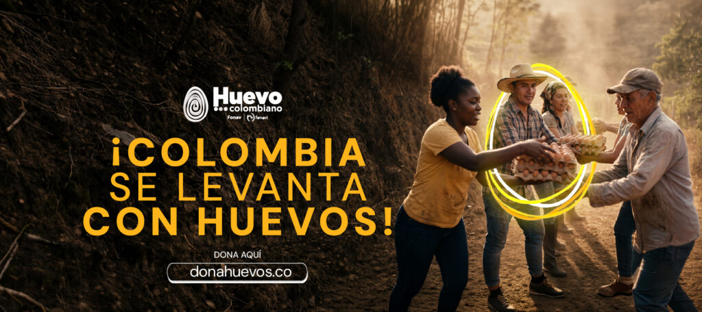 Colombia se levanta con huevos: avicultores donarán un millón de huevos e  invitan al país a sumarse