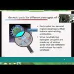 Como hacer frente a la Bronquitis Aviar (3/12) Como hacer frente a la Bronquitis Aviar (3/12)